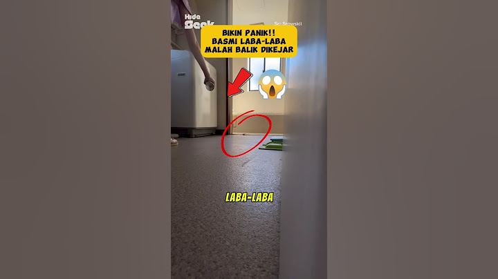 Bikin Panikk‼️Basmi Laba-Laba Malah Dikejar Balik⁉️ #viralvideo #shorts