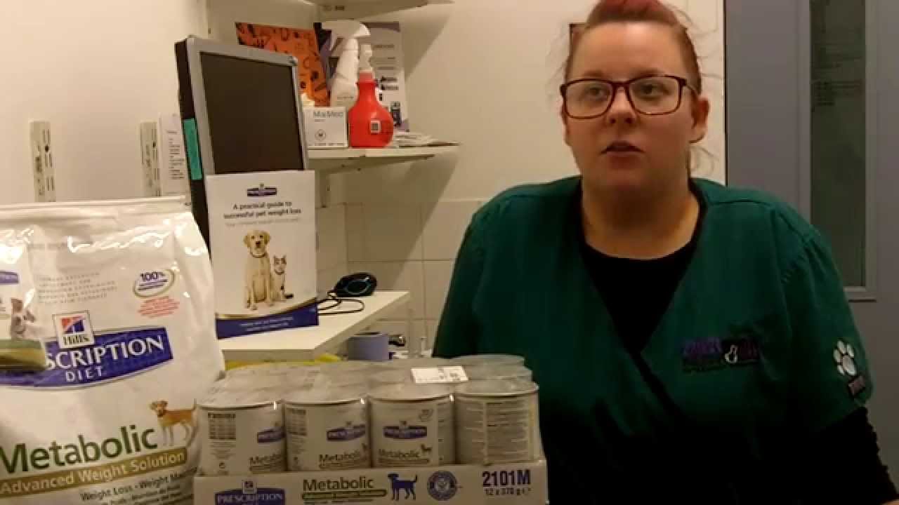 How to keep your pet at a healthy weight