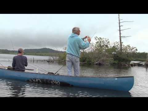 Video: Wat Is Bristol Pond?