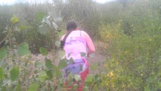 Девушка кормит и матерится на лису Мега смешно прикол Девушка кормит и матерится на лису Мега смешно прикол
