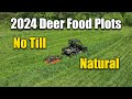 Deer Food Plots - Natural No Till - Cut Them Often