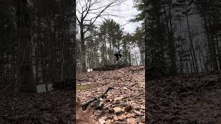 Piaffe On A Random Stone Circle Thing In A Random Driveway