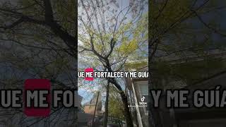 #videoshort #diosesbueno