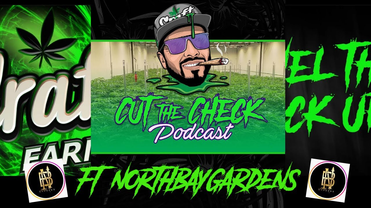 Cut The Check Ep. 13 Ft. North Bay Gardens