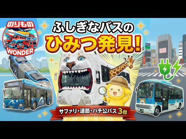 Riding Next to Lions?! Top 3 Bizarre Buses: Safari, Snake Bus