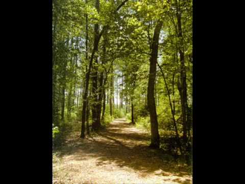 Serenity of the Heart - Martha Mier accords