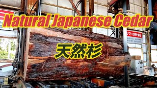 杉の輪切り58㎝円形ローテーブル⑮　樹齢約70年杉の模様が綺麗❕ 屋久杉良杢輪切テーブル173 | 屋久杉テーブル | 屋久杉堂