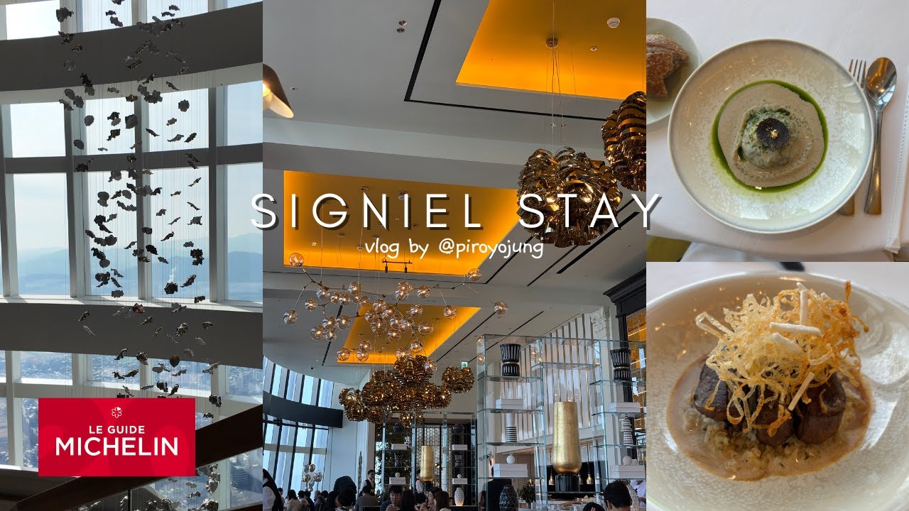 🥂#시그니엘서울 스테이(STAY) | #롯데타워 81층에서 먹는 한강뷰 (해장) 런치 #다이닝 💛
