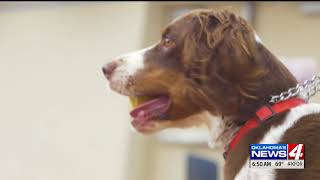 EMILY SUTTON AT NORMAN LIBRARY