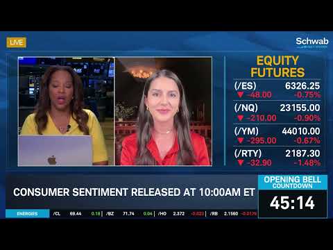July 2025 Consumer Sentiment & July Labor Report | Tsvetta Kaleynska | Charles Schwab