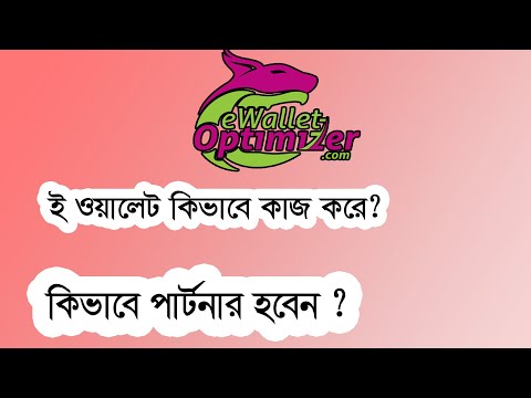 e-Wallet Optimizer এর কাজ কি ? কিভাবে পার্টনার হবেন ??| e-Wallet Optimizer a-z| Neteller skrill