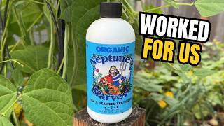 Neptune's Harvest Fish & Seaweed Fertilizer Review | Honest Garden Results