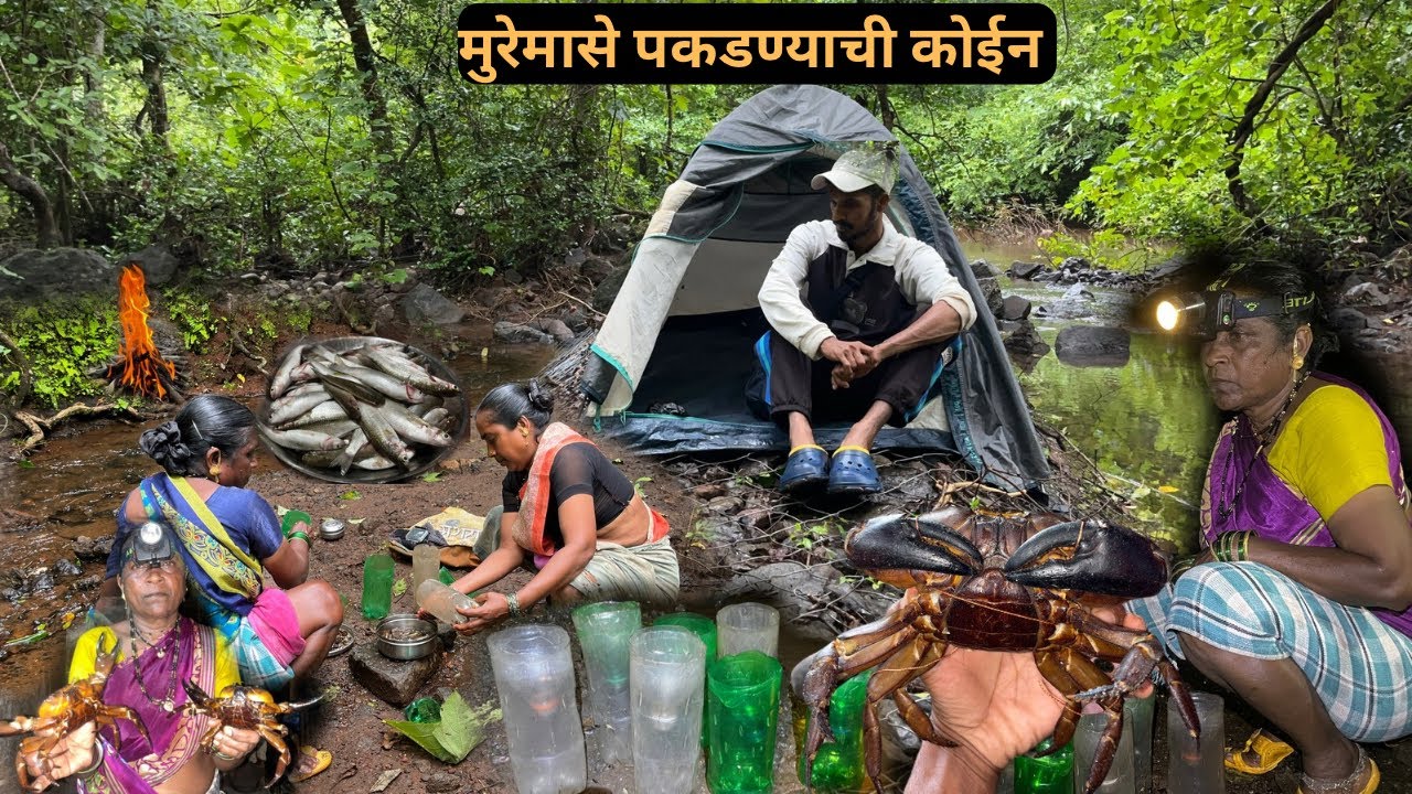 कोईन लावून भरपूर पकडले मुरेमासे आणि खेकडे |fising trep 🐟|crab catching |camping 🏕