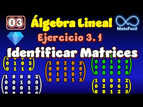 💎03.1 Álgebra lineal - Ejercicio de Matrices Escalonadas y Reducidas
