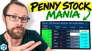 Penny Stock Mania is BACK Update
