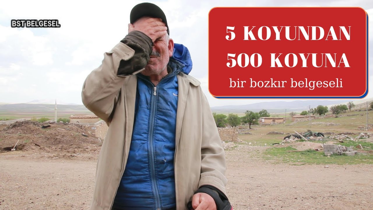 BOZKIRDA BİR ÇOBAN BELGESELİ DAĞLARDA GEÇEN BİR ÖMÜR