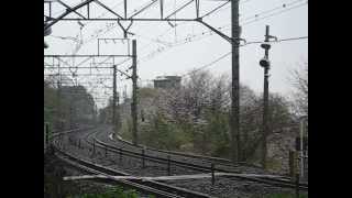 20130325非公式お召E655系