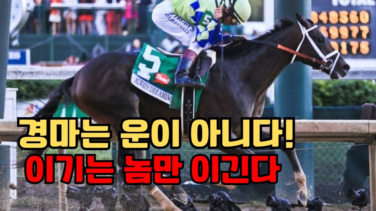 🔥경마 시즌1 제10강ㅣ이기는 법은 이미 정해져 있다!