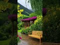 Heavy rain flow and beautiful nature#rain #relax #nature #viral shots