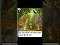घने हरे-भरे जंगल में एक मीठी आवाज़ वाली कोयल रहती थी। उसका नाम कोयली था। जब भी वह गाती, #aishorts