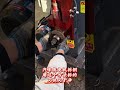 Disassembling copper from automotive alternator coils...