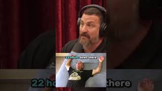 Andrew Huberman On Ibogaine #joerogan #jre #podcast #shorts #crazy