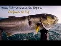 Pesca Submarina : Anjova de 6 kilos a la Espera.