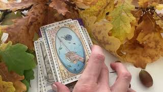 Millised uued algused on su ellu saabumas? Kaardilugemine 3 valikuga