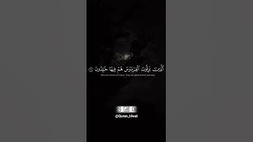 من أروع وأجمل تلاوات الشيخ ياسر الدوسري 😭 سورة المؤمنون