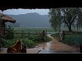 Enjoy rain sounds and Have a good night ♥♥♥