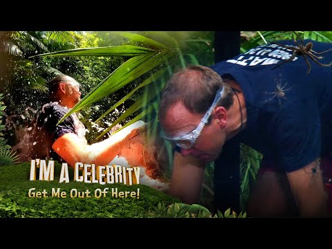 Trial Tease: Fallen Stars | I'm A Celebrity... Get Me Out Of Here!