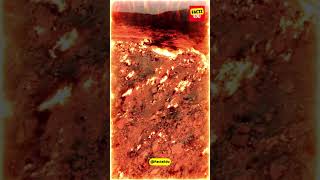 The Door To Hell | #facts #mystery #mysteriousthings