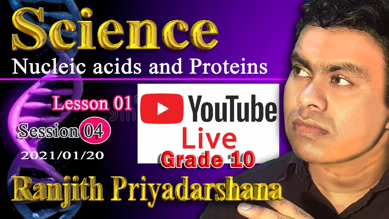 Grade 10 Lesson 01 session 4 Nucleic acids and Proteins YouTube