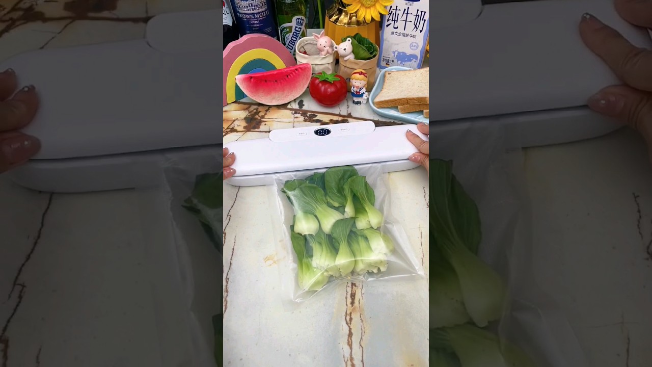 Food Saver Vacuum Sealer Machine | Automatic Vacuum Sealer | Food preservation 