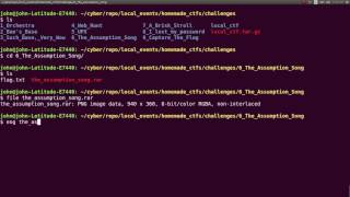 Homemade CTF Challenge: 05 "The Assumption Song"
