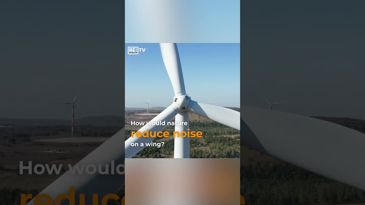 How would nature do it? Design inspired by the planet