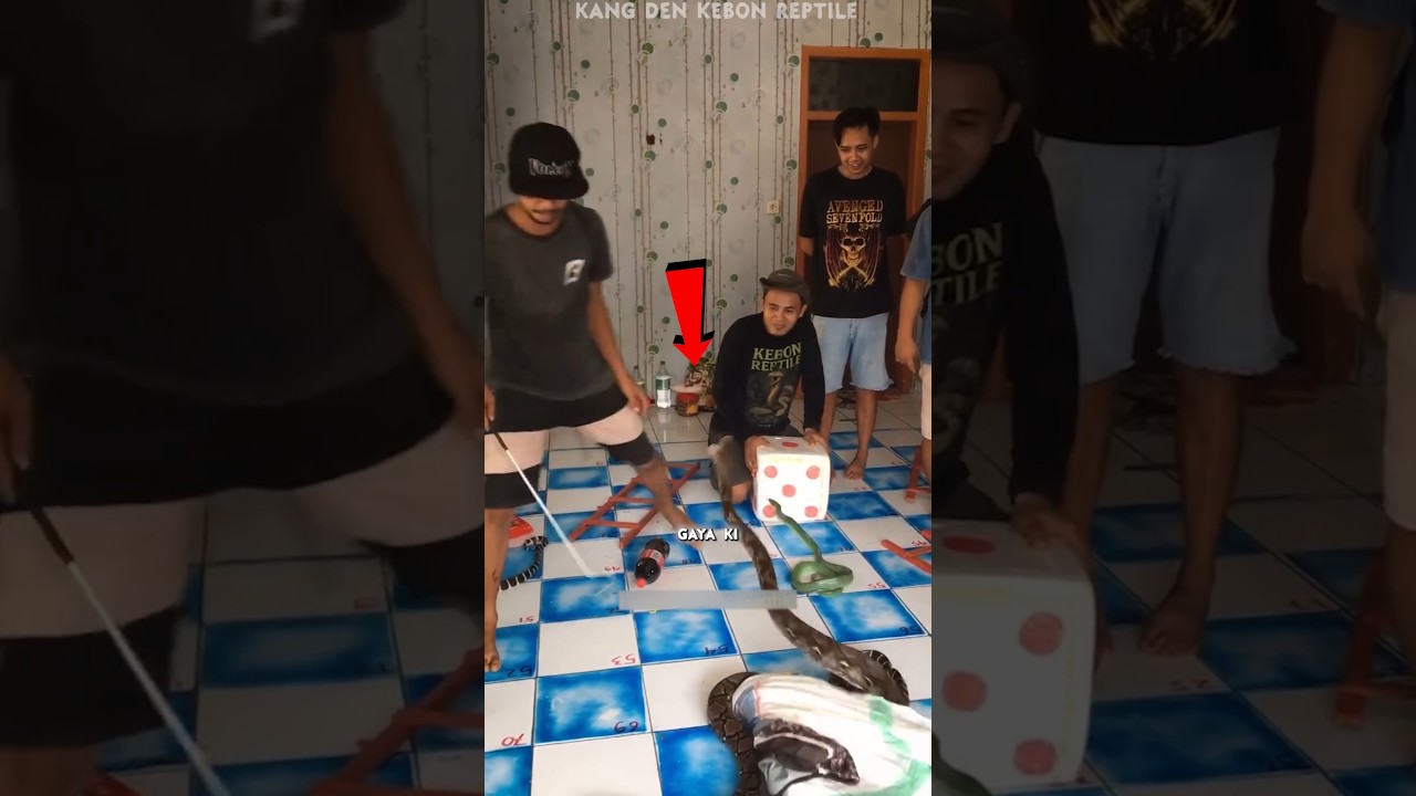 Real Life Snakes & Ladders Gone Wrong