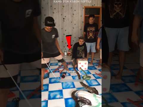 Real Life Snakes & Ladders Gone Wrong