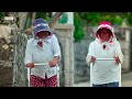 🔴 LIVE: A Journey Through Japan | BBC Earth