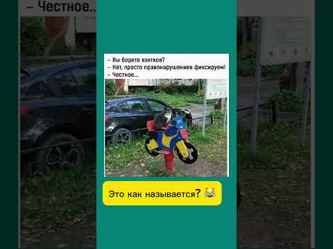 Мы просто фиксируем😹 #юмор#мем#смешно#сарказм#прикол#жизненно#диалог#funny#meme#shorts #мем#humor