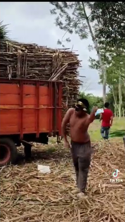 petani muda #petanimuda #short #shorts #lucu #viral #petani