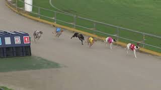 Gawler-14082026-Race-2