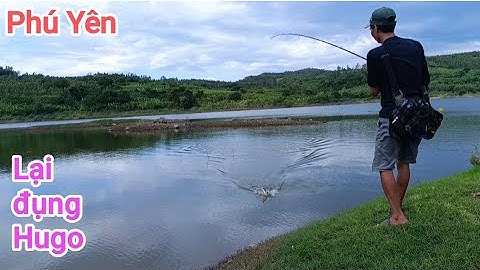 Câu cá lóc_Hành trình săn hàng Hugo (p26)@Hữunghị tv