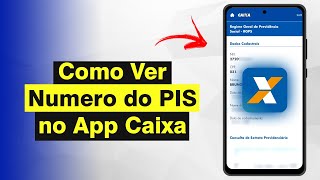 Como Ver O Número Do Pis No App Caixa Rápido E Fácil