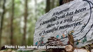 Before And After Post Production On A Photo I Took