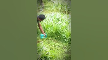 Super Fast Grass Cutting with Small Motor! 🚀 | Satisfying Farming Tool #Shorts