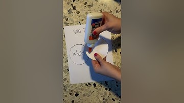 Interactive Notebook  Compare and Contrast