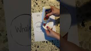 Interactive Notebook  Compare and Contrast