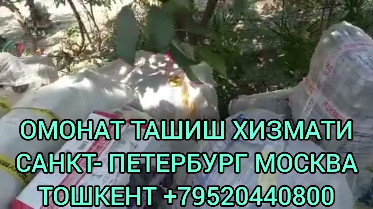 Тула питер на машине