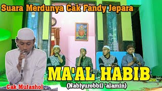 MA'AL HABIB (Nabiyurobbil 'alamin) || CAK FANDY-NYA JEPARA (MUFASHOL) HADROH NURURROSUL JEPARA ||